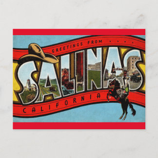 Greetings from Salinas California Travel Postcard