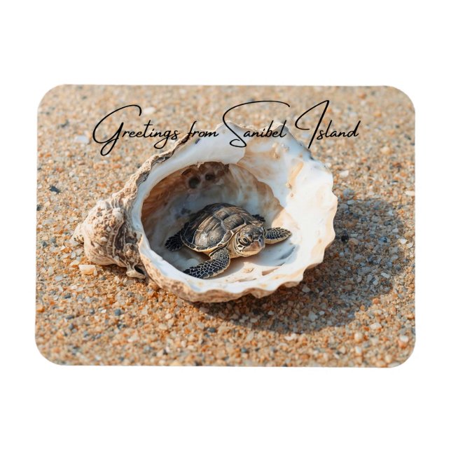Greetings from Sanibel Island Sea Turtle in Shell Magnet (Horizontal)