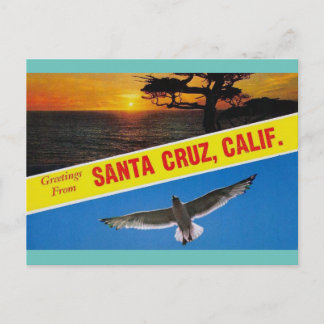 Greetings from Santa Cruz California Travel Postcard