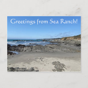 Greetings from Sea Ranch! Postcard