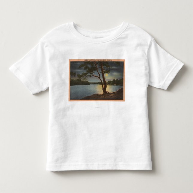 Greetings from Sumterville, Florida - Moon Toddler T-Shirt (Front)