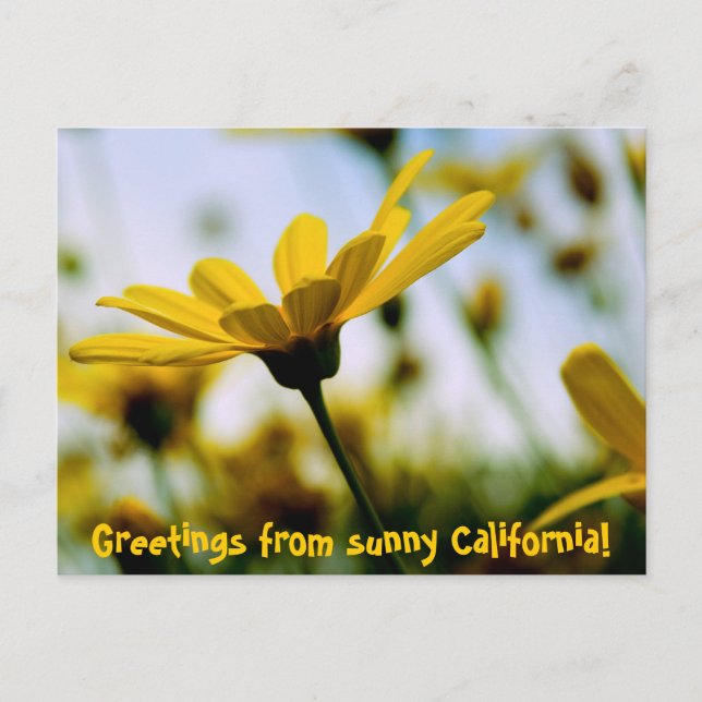 Greetings from sunny California! Postcard (Front)