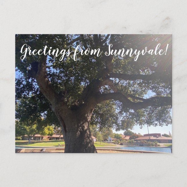 Greetings from Sunnyvale! Postcard (Front)