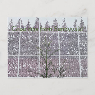 Greetings from Sunnyvale! Postcard