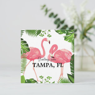 Greetings from Tampa, Florida