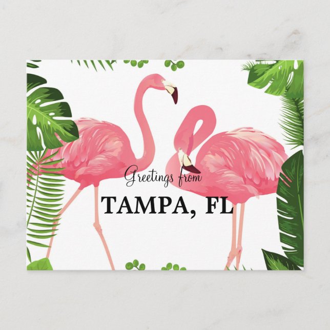 Greetings from Tampa, Florida Postcard (Front)