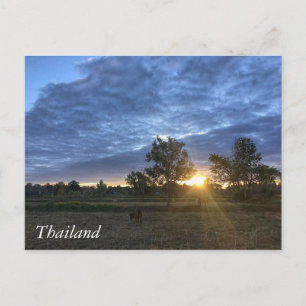 Greetings from Thailand Postcard