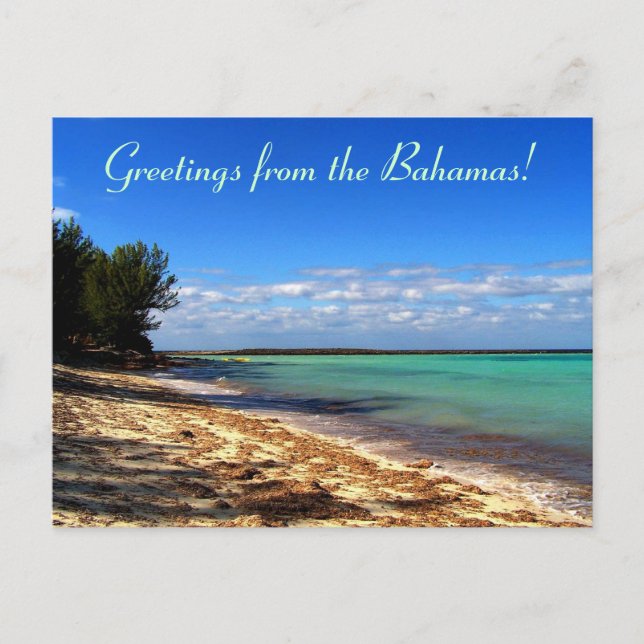 Greetings from the Bahamas! Postcard (Front)