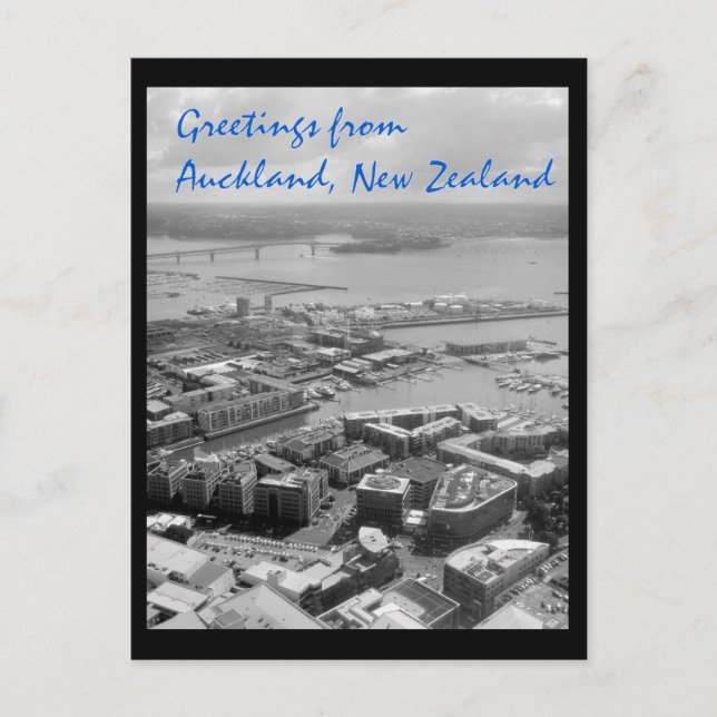 Greetings from the city of Auckland, New Zealand Postcard (Front)
