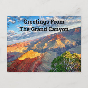 Greetings From the Grand Canyon  Postcard