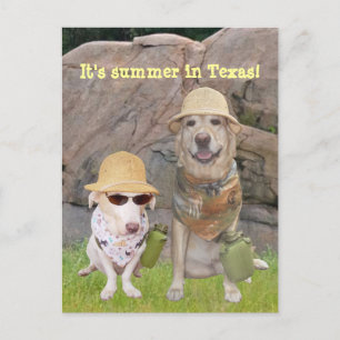 Greetings from the hot South! Postcard
