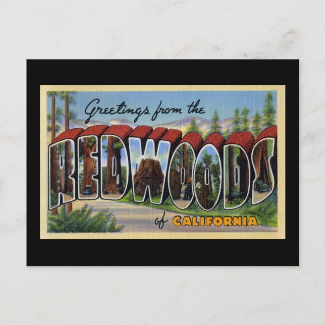 Greetings from the Redwoods of California Postcard (Front)
