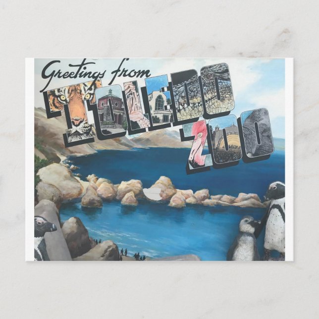 Greetings From The Toledo Zoo Postcard (Front)