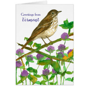 Greetings from Vermont Hermit Thrush Clover