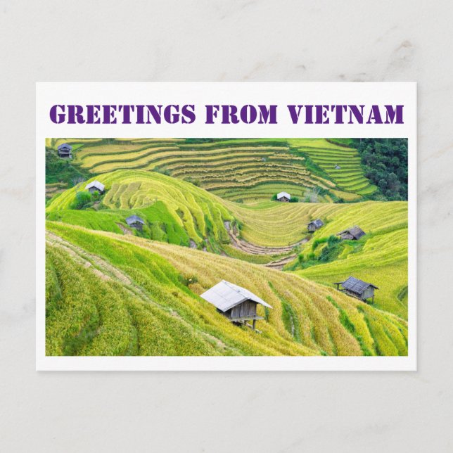Greetings from Vietnam Postcard (Front)