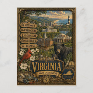 Greetings From Virginia Vintage Retro Art Postcard
