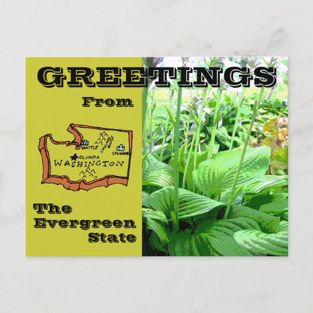 Greetings From Washington State Postcard (Front)