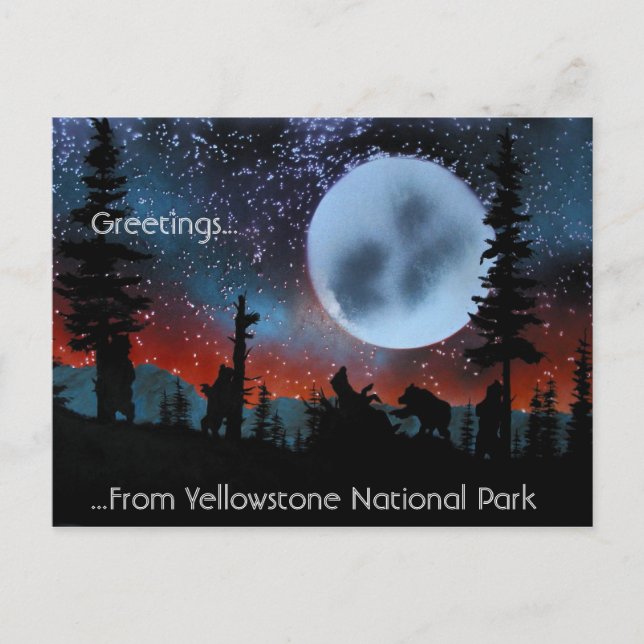 Greetings......From Yellowstone National Park Postcard (Front)