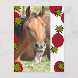 Greetings Holiday Postcard