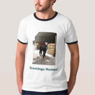 Greetings Human! alpaca shirt