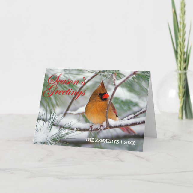 Greetings - Northern Cardinal in Snowy Pine Tree Holiday Card (Front)