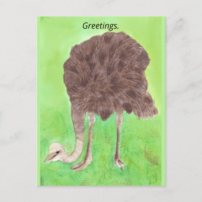 Greetings, Your Text, Ostrich Postcards (Front)