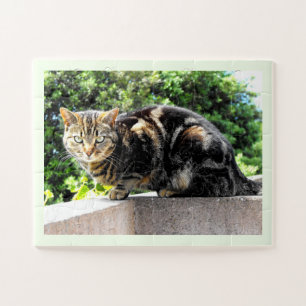 Gremlin the tabby cat jigsaw puzzle