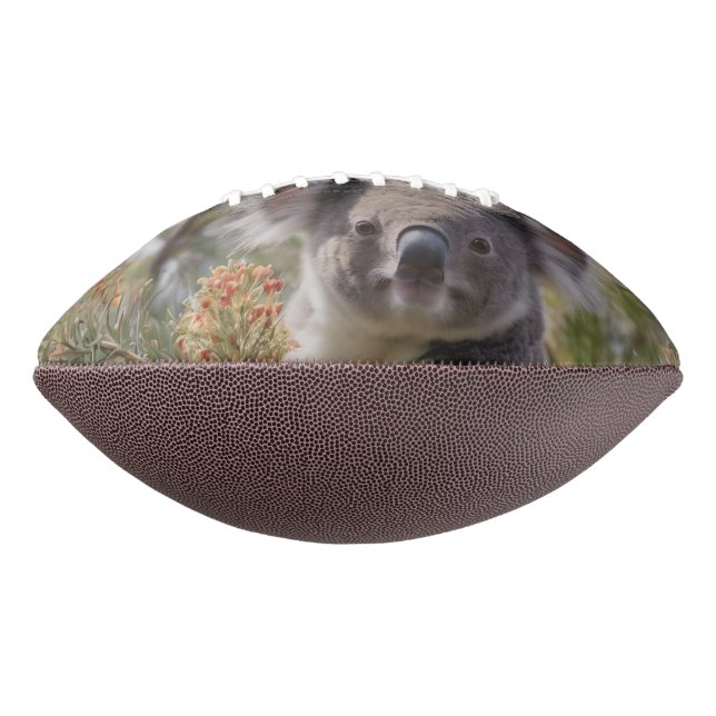 Grevillea Koala Bear, Football (Rotated 270)