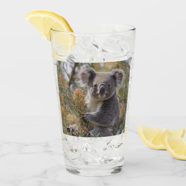 Grevillea Koala Bear, Glass (Front Ice)