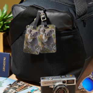 Grevillea Koala Bear, Luggage Tag