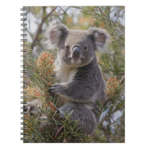 Grevillea Koala Bear, Notebook