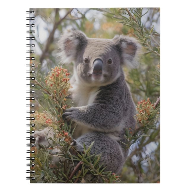 Grevillea Koala Bear, Notebook (Front)