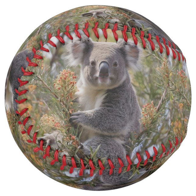 Grevillea Koala Bear, Softball (Front Left)