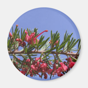 Grevillea Plant Magnet