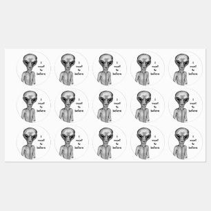 Grey Alien , I want to believe