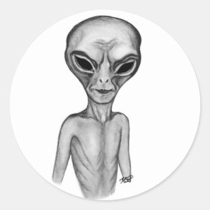 Grey Alien , I want to believe Classic Round Sticker