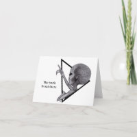 Grey Alien, the truth is out there