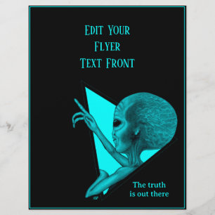 Grey Alien, the truth is out there Flyer