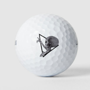 Grey Alien, the truth is out there Golf Balls