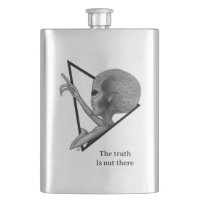 Grey Alien, the truth is out there