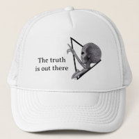 Grey Alien, the truth is out there