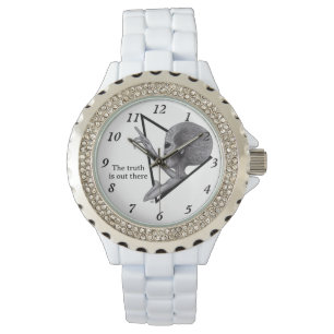 Grey Alien, the truth is out there Watch