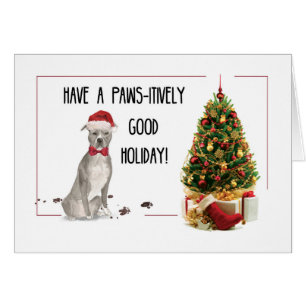 Grey American Staffordshire Terrier Fun Christmas