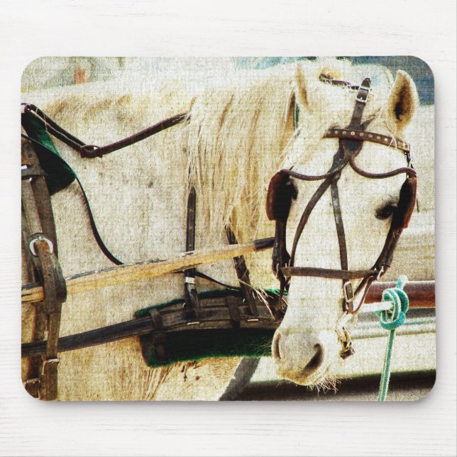 Grey Amish Buggy Horse Mouse Pad (Front)