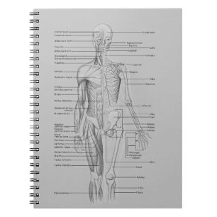 Grey Anatomy Spiral Notebook