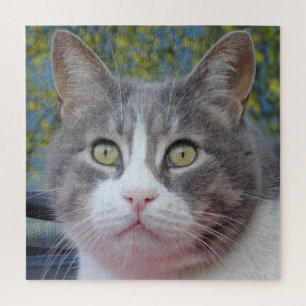 Grey and White Beauty Jigsaw Puzzle,676 pcs Puzzle