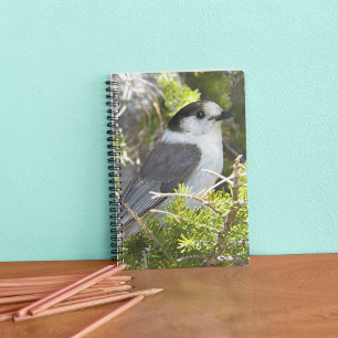 Grey and White Canada Jay Photo Notebook