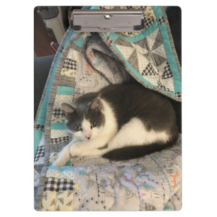 Grey and white cat clipboard