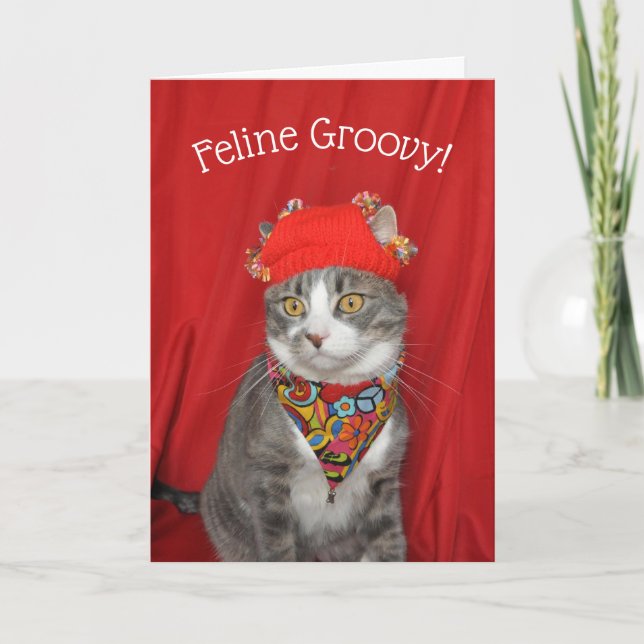 Grey and white cat Hippie Valentine's or Birthday Card (Front)