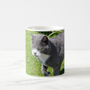 Grey and White Cat Mug